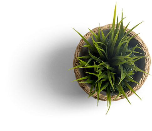 brainsclub flowerpot